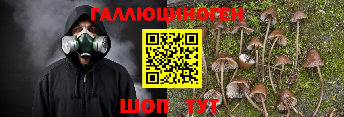 Галлюциногенные грибы MAGIC MUSHROOMS  Вход с VPN  Галлюциногенные грибы GOLDEN TEACHER  Воронеж 